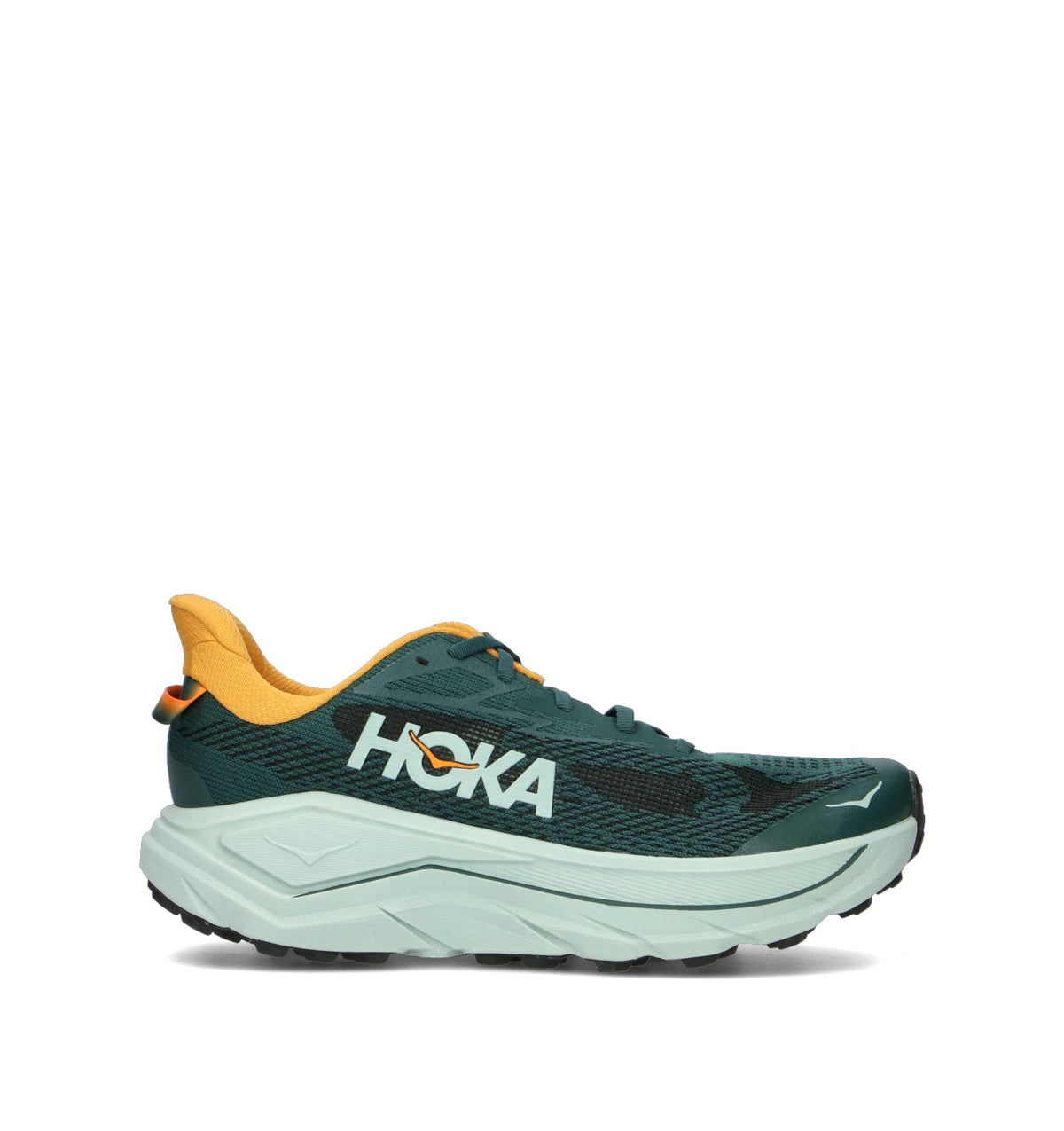 HOKA Challenger 8 Bay Leaf Sage Homme Chaussures Trail Running Trail Polyvalent