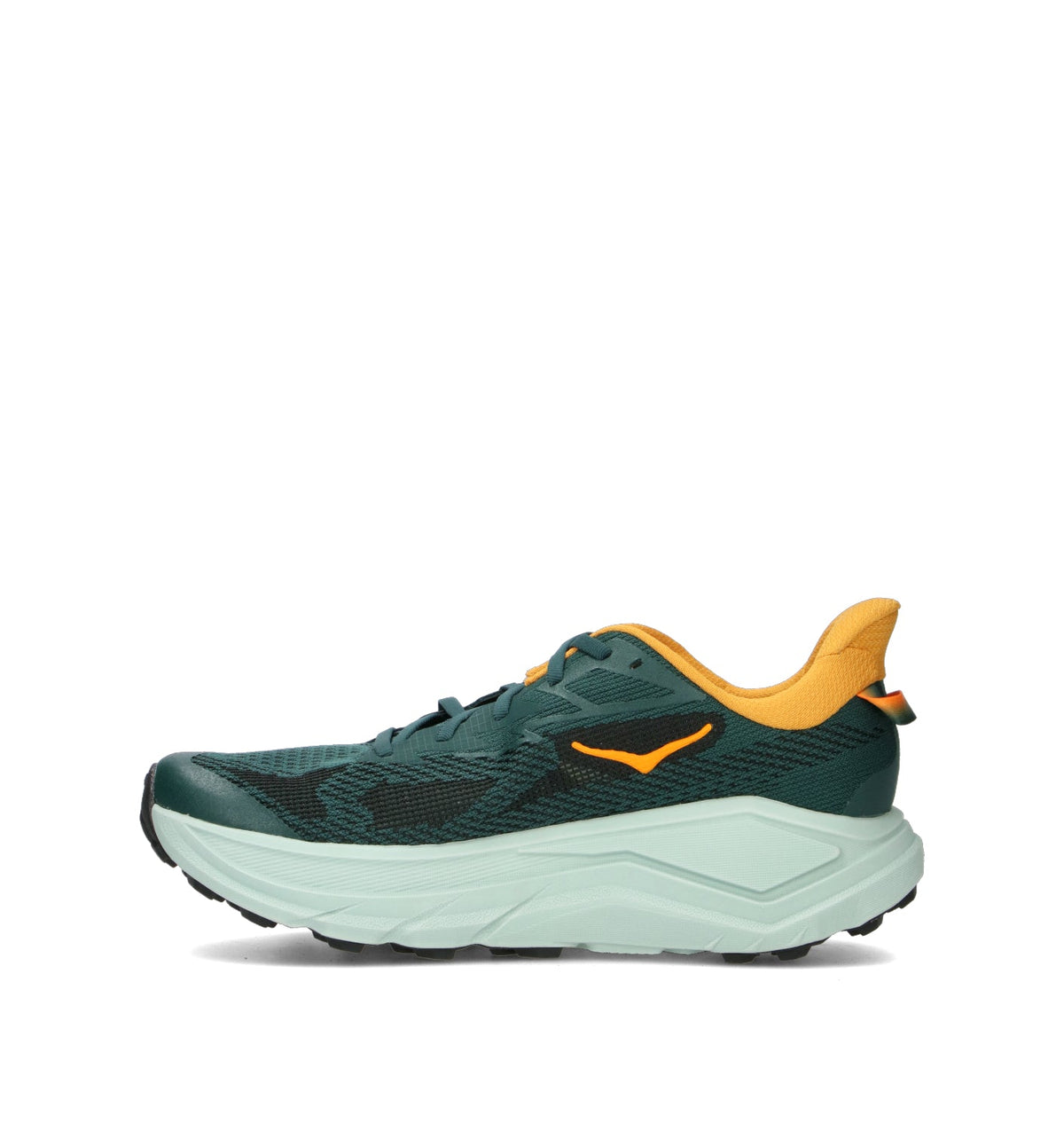 HOKA Challenger 8 Bay Leaf Sage Homme Chaussures Trail Running Trail Polyvalent