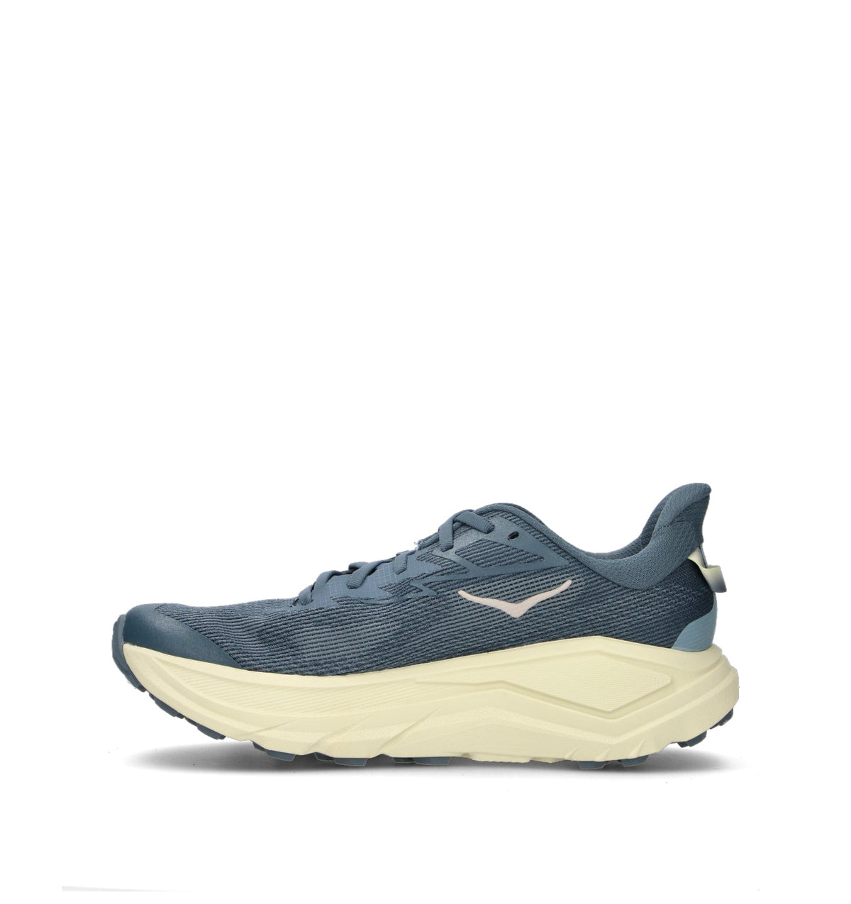 HOKA Challenger 8 Faded Navy Pampass Grass Homme Chaussures Trail Running Trail Polyvalent