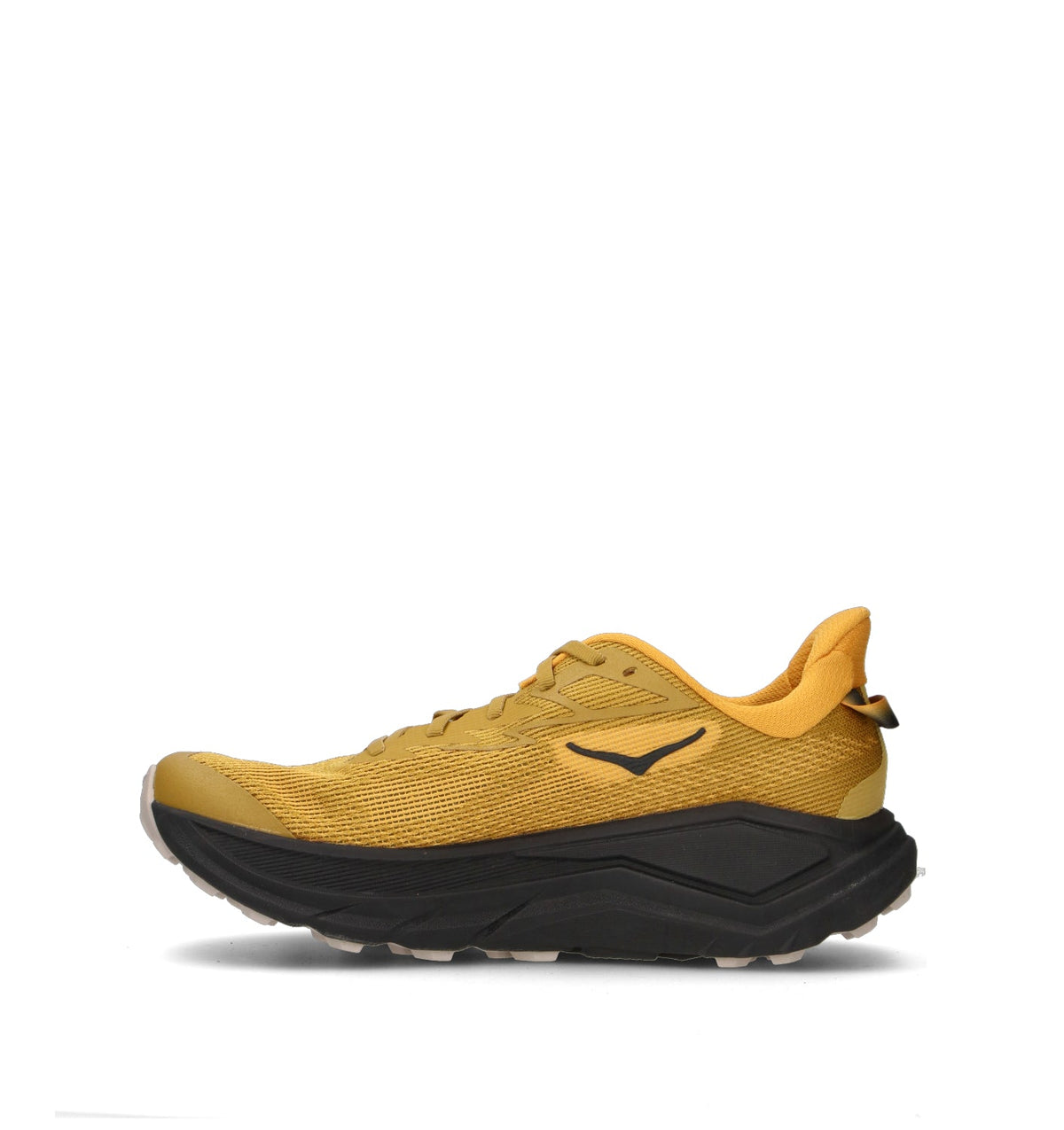 HOKA Challenger 8 Mustard Seed Black Homme Chaussures Trail Running Trail Polyvalent