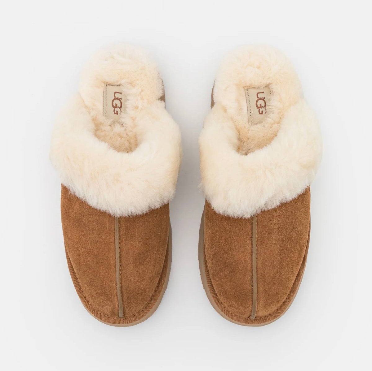 UGG Disquette Chestnut sabots fourrés femme en daim et peau de mouton marron chestnut, détail intérieur