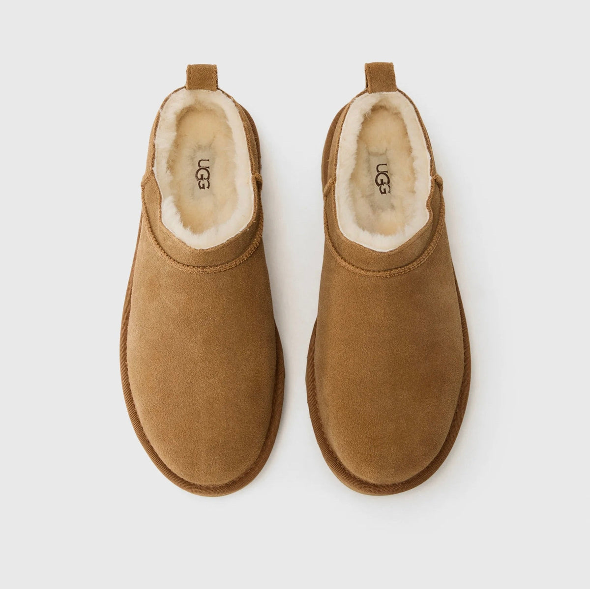 UGG Classic Micro Chestnut bottines fourrées femme en daim et peau de mouton marron chestnut, vue arrière