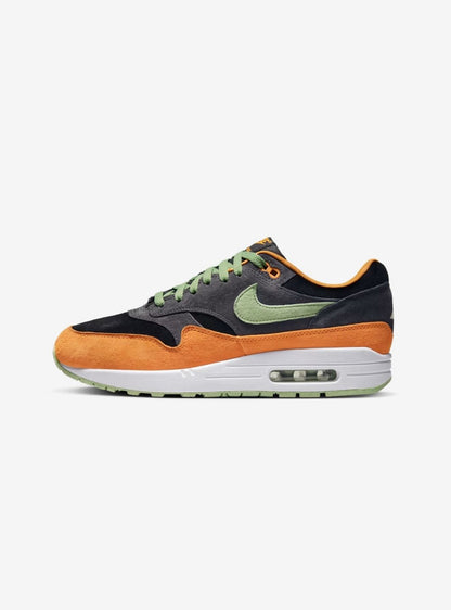 Nike Air Max 1 PRM Duck DZ0482-001