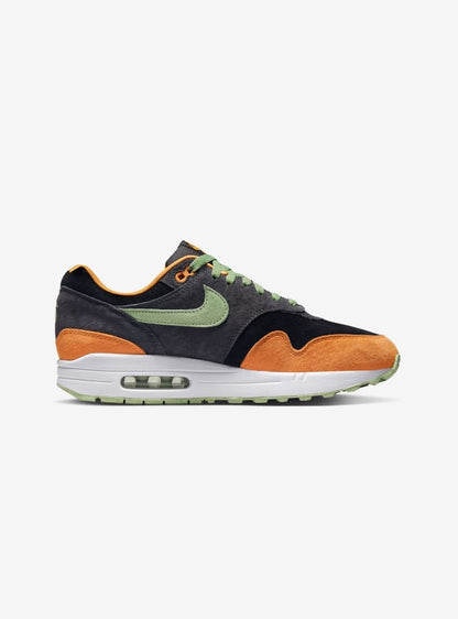 Nike Air Max 1 PRM Duck DZ0482-001