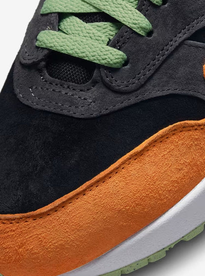 Nike Air Max 1 PRM Duck DZ0482-001