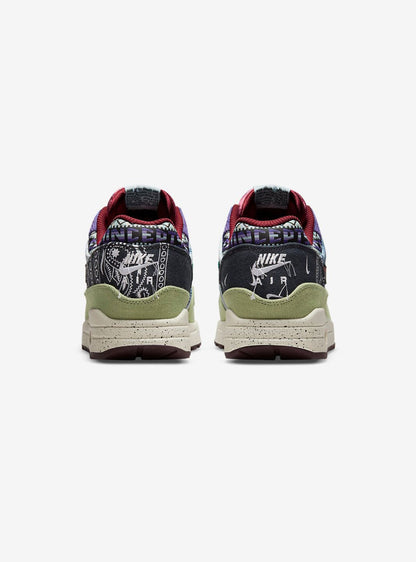 Nike Air Max 1 SP Concepts Mellow